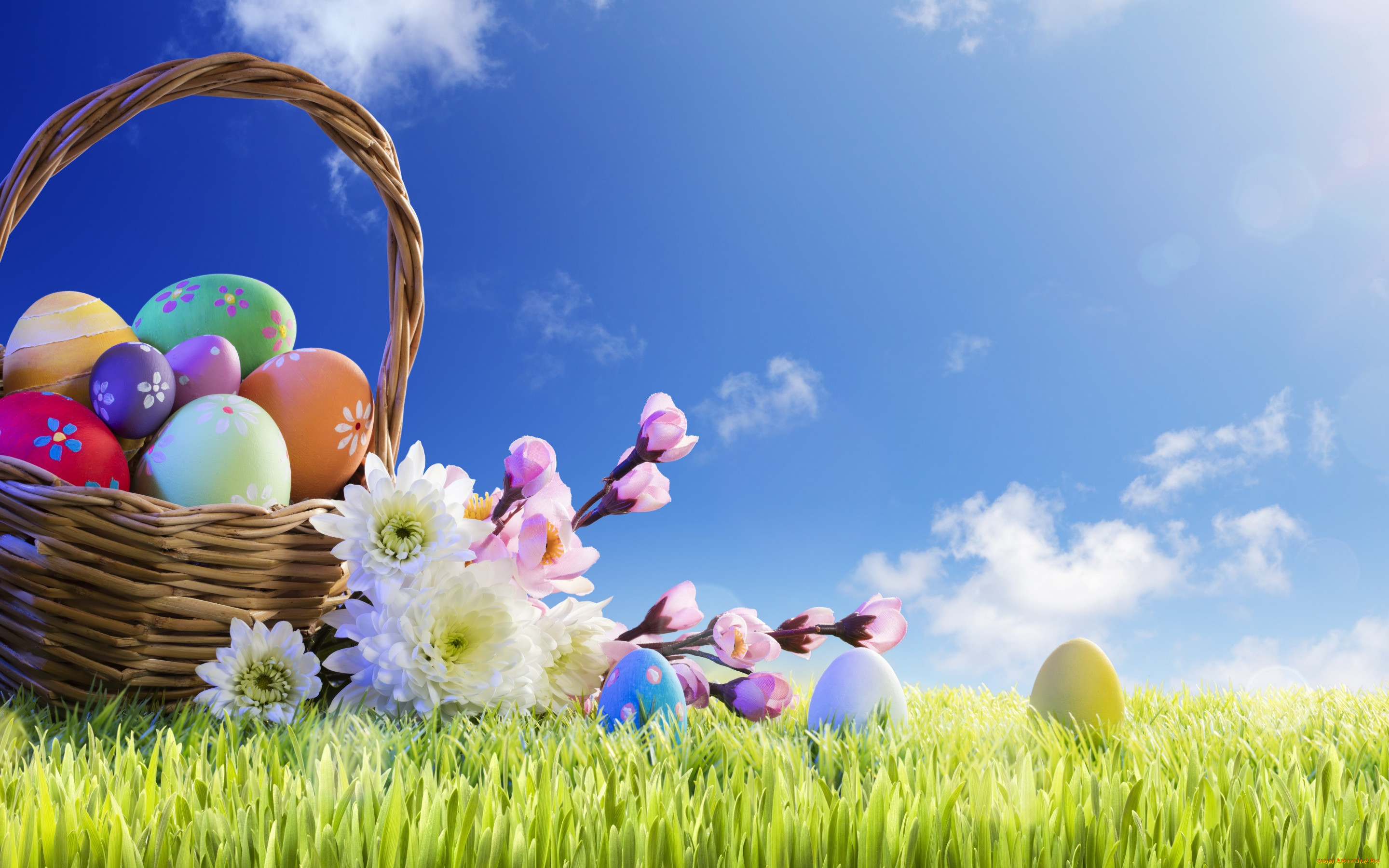 , , , , , easter, , happy, , , , spring, flowers, eggs, decoration